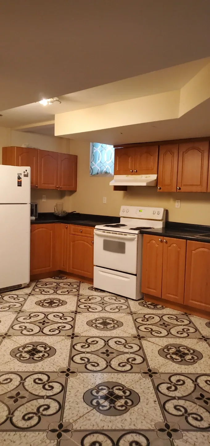 2 bed walkout legal basement. image indicator(9)