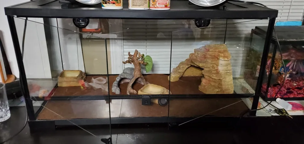 Upgraded 40 Gallon Reptile Habitat Terrarium image indicator(7)