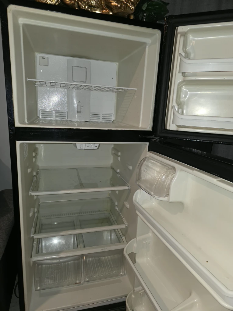 Frigidaire Black Refrigerator