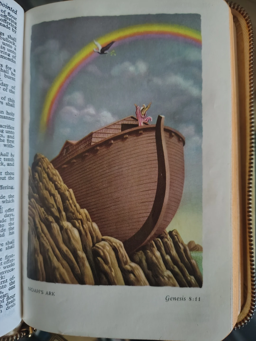 2 Vintage Bibles - 1949 & 1964 (Pair $45/ or Individually) - photo 4