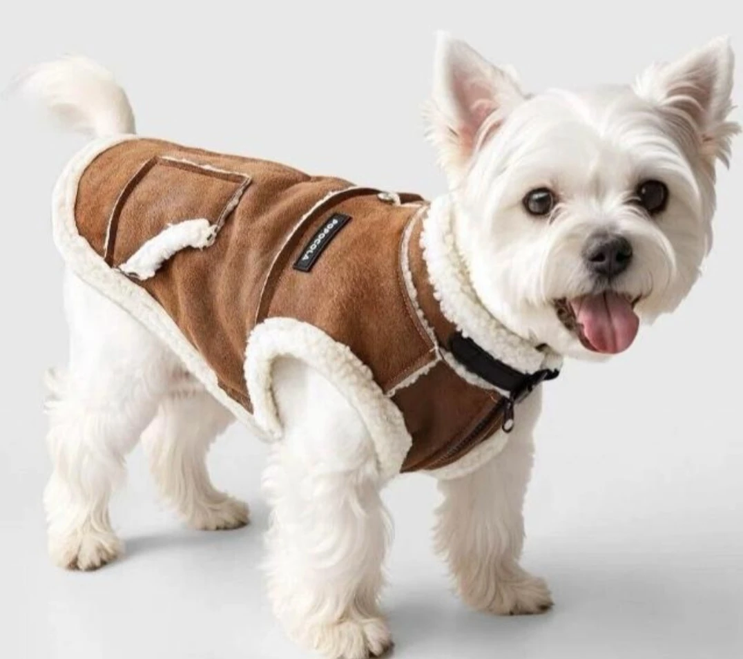 Pina Pet Apparel - Dog Jacket Size S - photo 2
