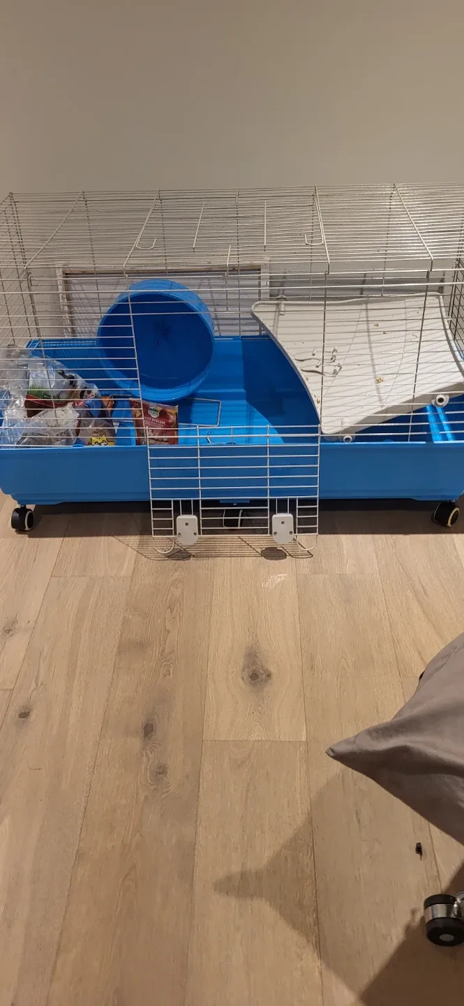 Rabbit and Guinea Pig cage and accessories