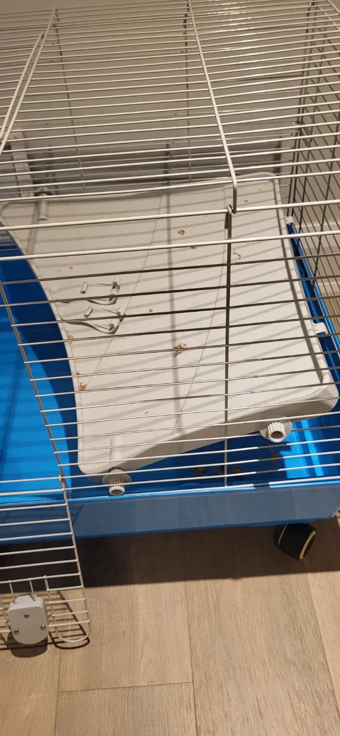 Rabbit and Guinea Pig cage and accessories image indicator(2)