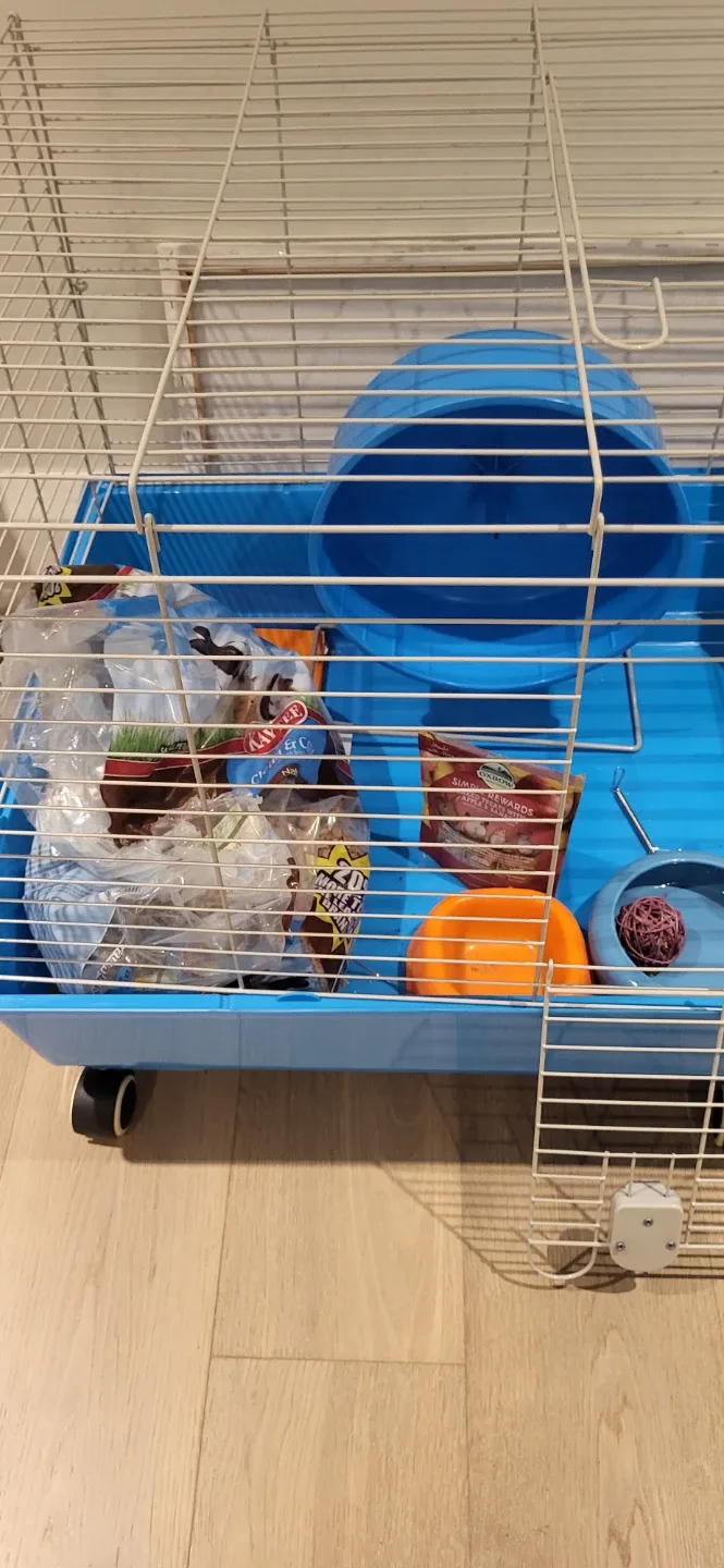 Rabbit and Guinea Pig cage and accessories image indicator(3)