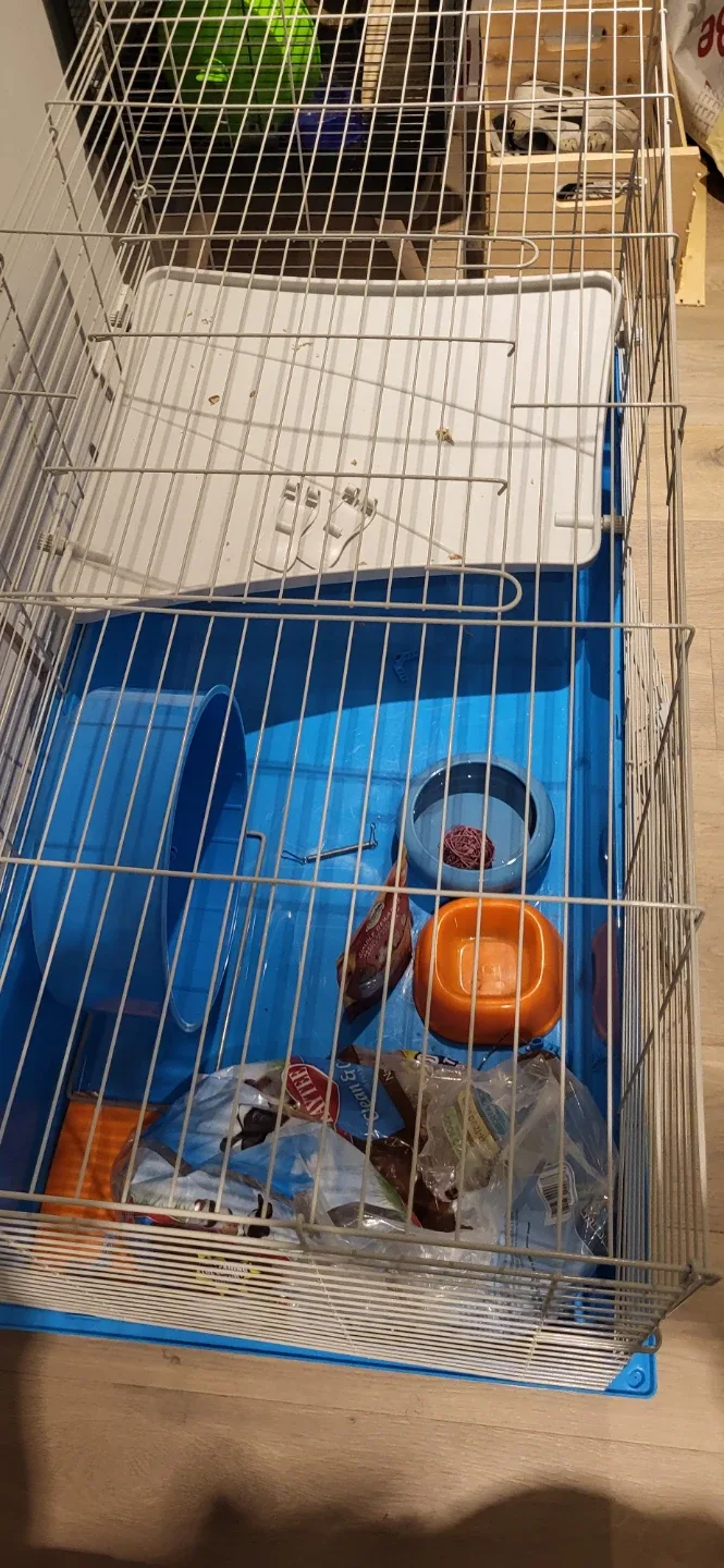 Rabbit and Guinea Pig cage and accessories image indicator(4)