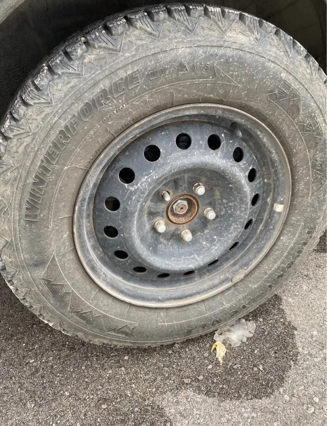 Honda Element SE image indicator(6)