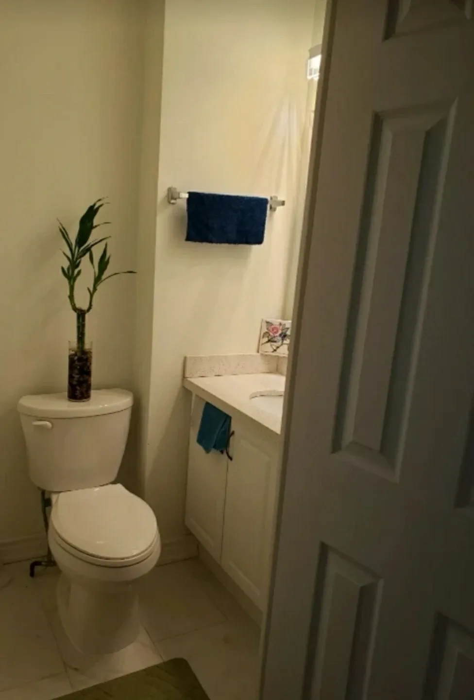 Famale  Room for Rent image indicator(3)