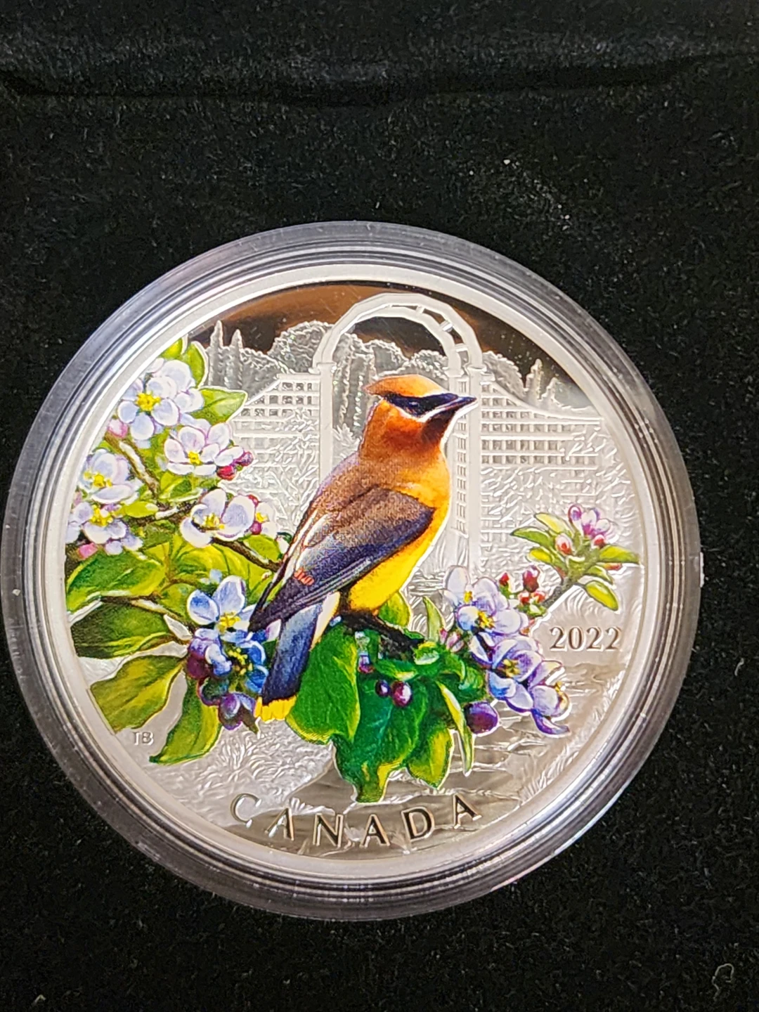 2022 $20 Fine Silver Coin - Cedar Waxwing - photo 3