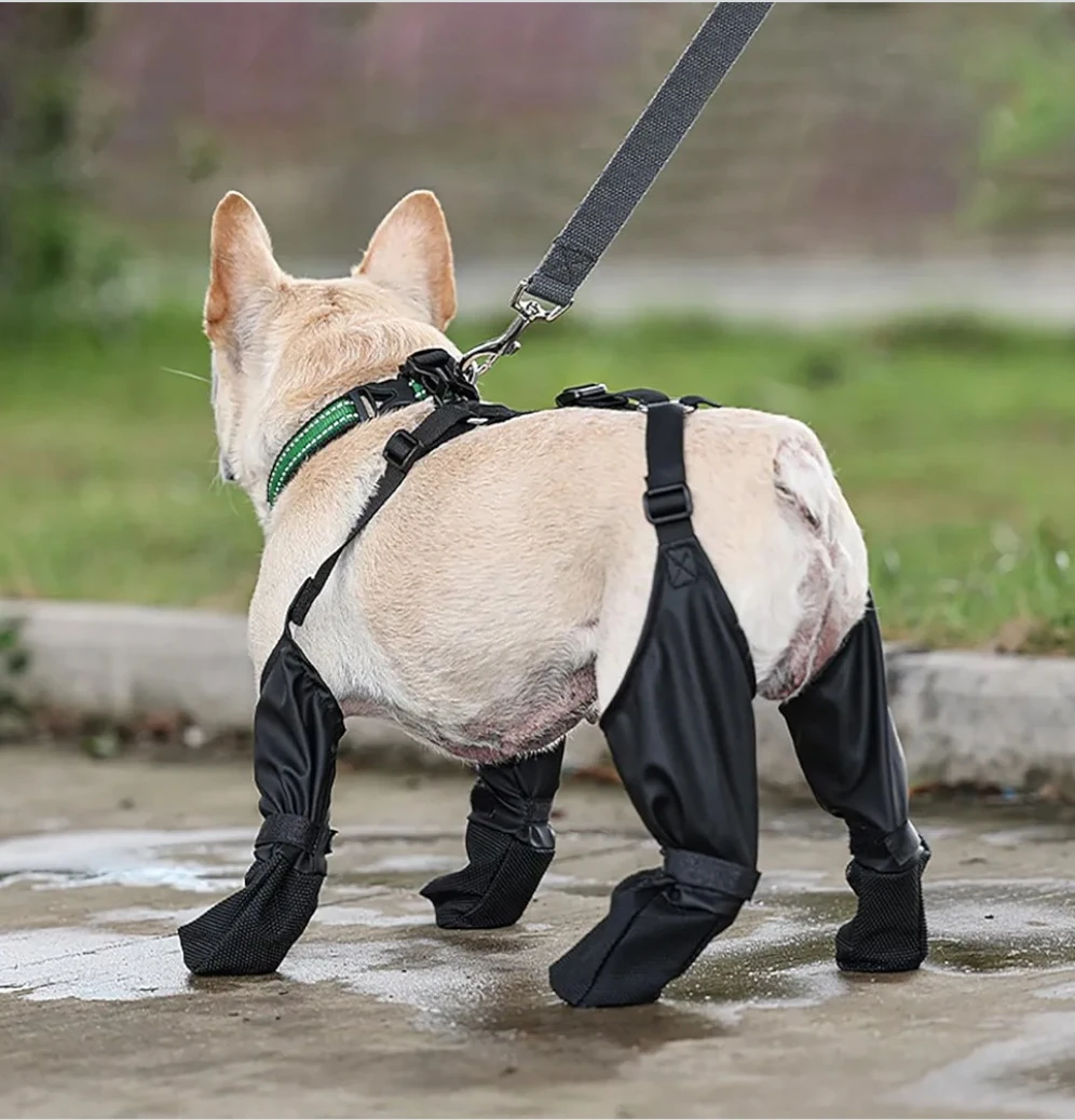 Dog Boots with Suspenders - Adjustable Protective All-Weather...