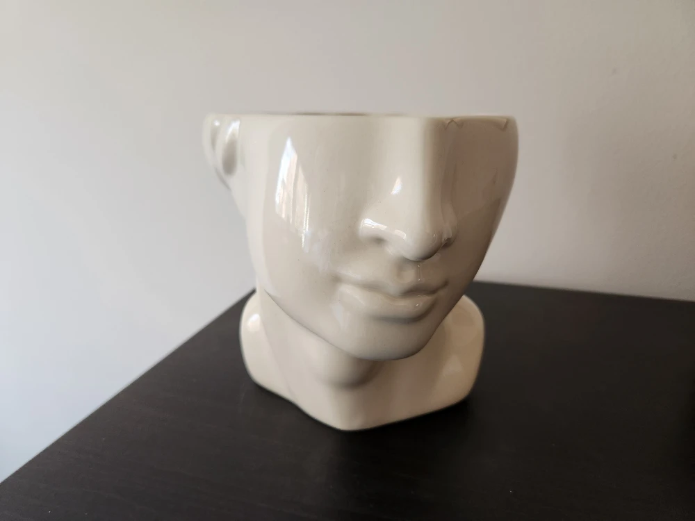 Face Planter - Ceramic Head Vase