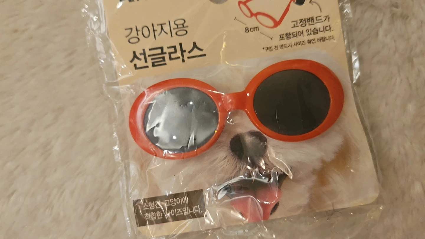 Dog Sunglasses for small dog !