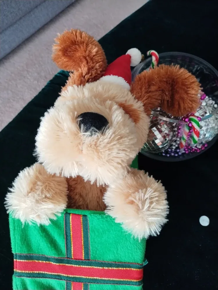 Dancing/Singing Puppy image indicator(6)