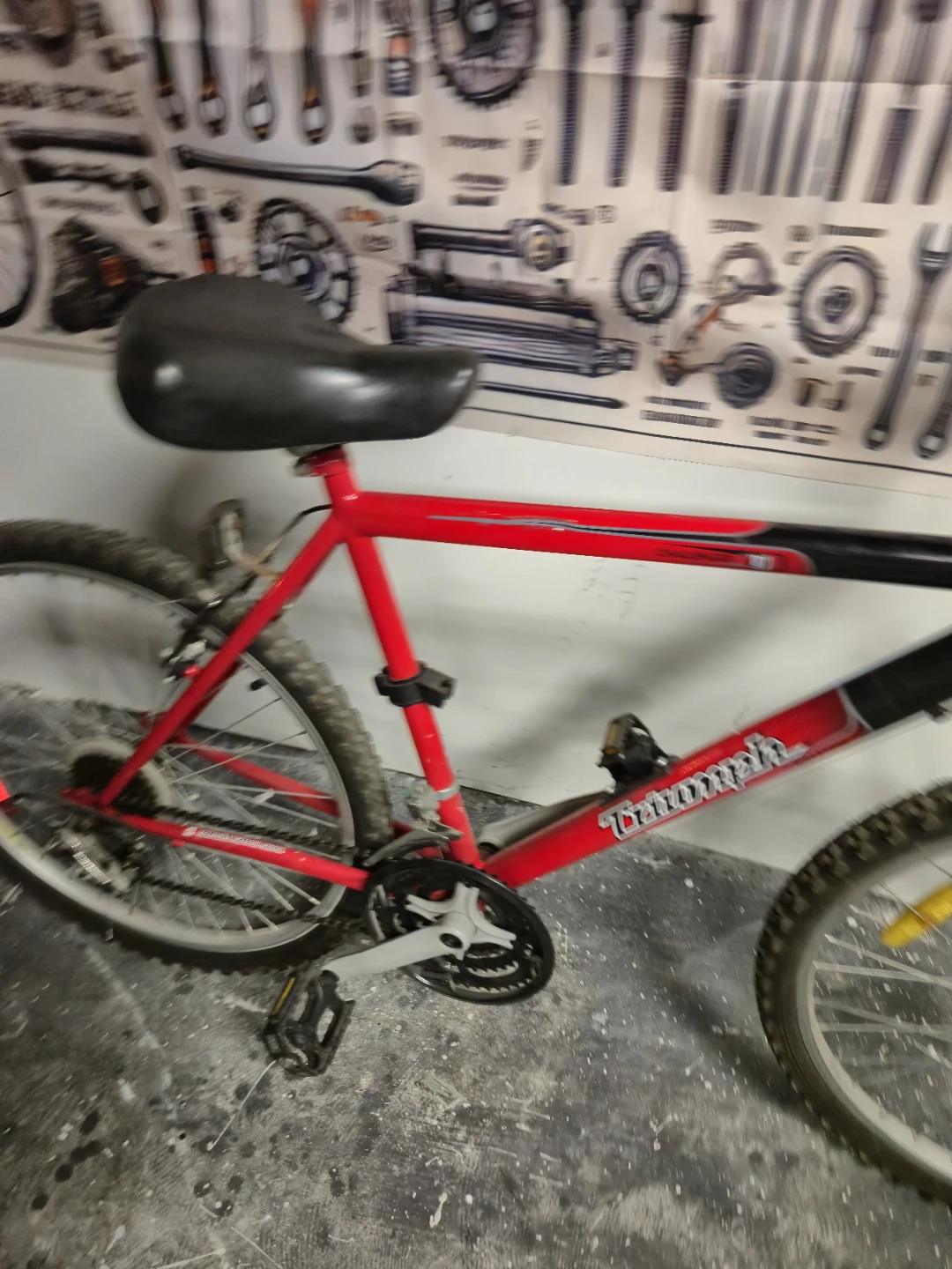 Triumph Mountain Bike - Red & Black