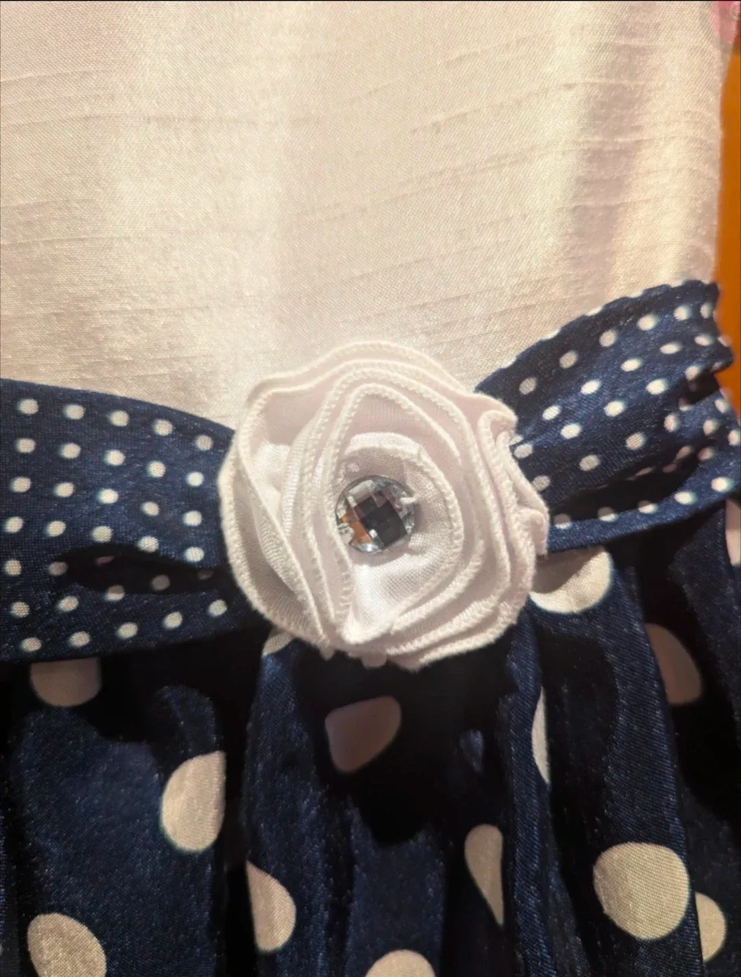 #Cleanout American Princess Girls Dress - Size 6X image indicator(4)