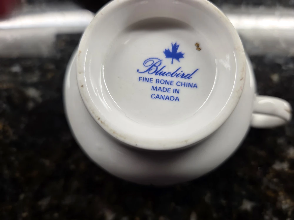 #cleanout.  Fine Bone China Tea Cup & Saucer - photo 4