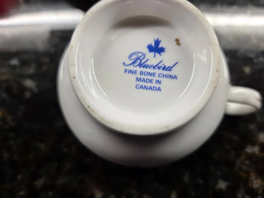#cleanout.  Fine Bone China Tea Cup & Saucer image indicator(4)
