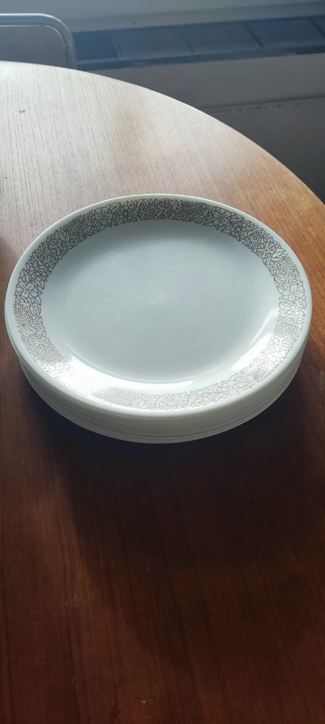 Corelle Dinner Plates - 13 plates