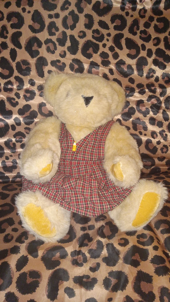 Vintage Teddy Bear