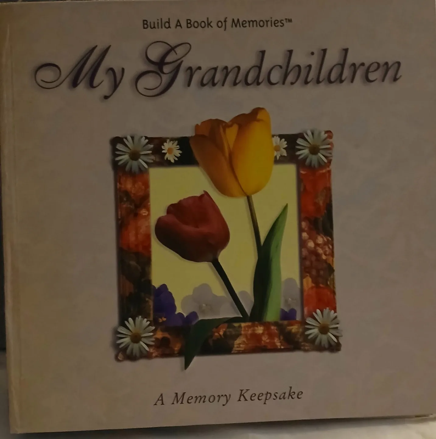 My Grandchildren Memory Keepsake Book image indicator(7)