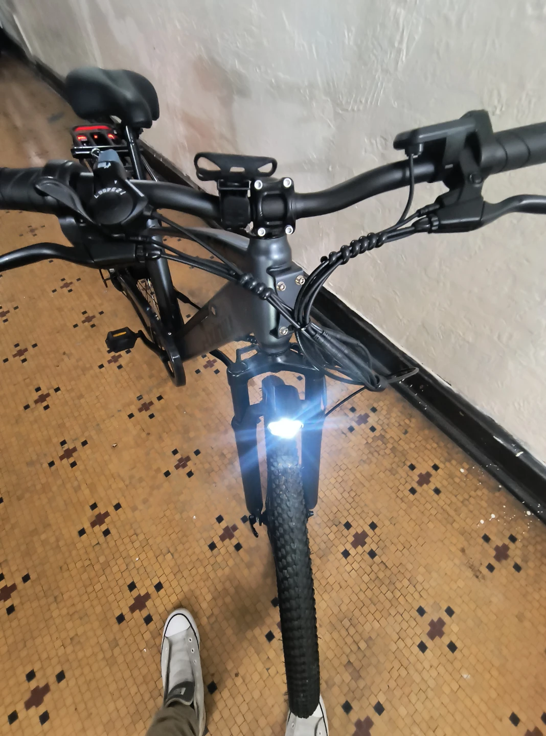 Axiniu Electric Bike - photo 3