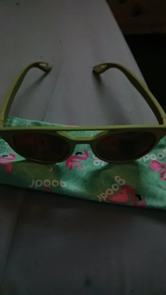 Goodr Sunglasses with Flamingo Pouch