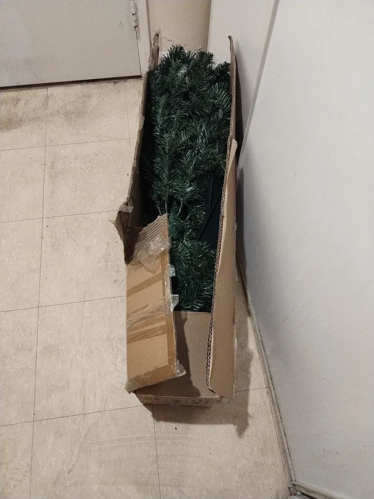 For Living 6' Unlit Mercier Tree with Lights