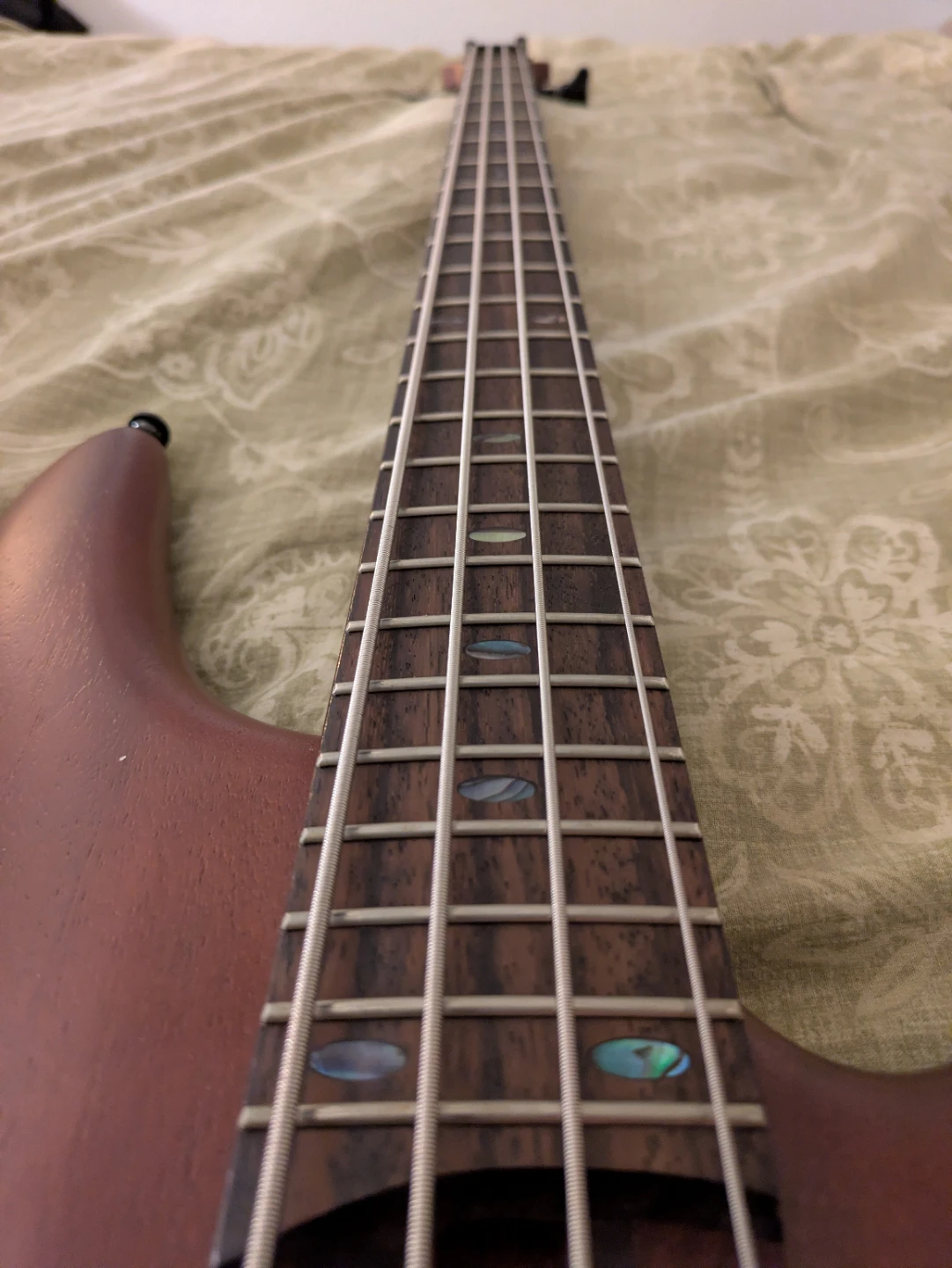 IBANEZ BASS - SR500EBM SR4 - BROWN MAHOGANY - photo 4