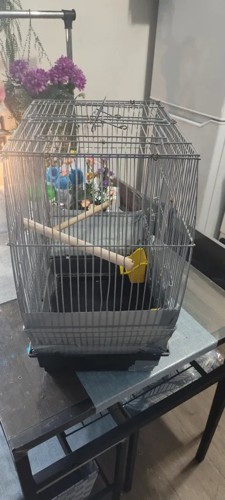 Bird Cage - Good Condition image indicator(3)
