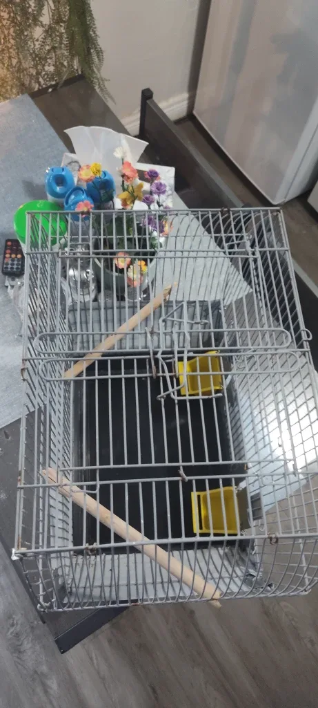 Bird Cage - Good Condition image indicator(4)