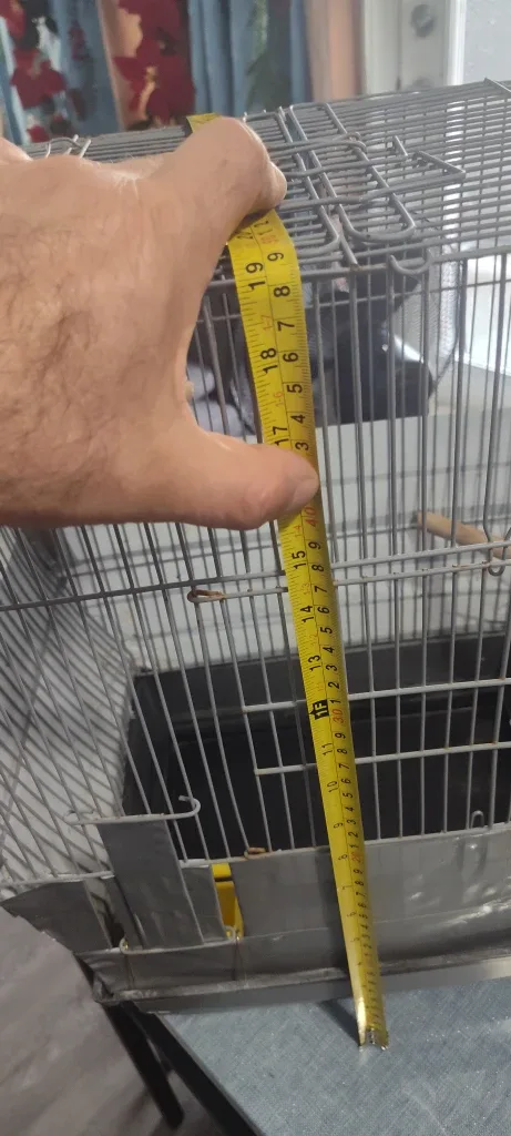 Bird Cage - Good Condition image indicator(5)