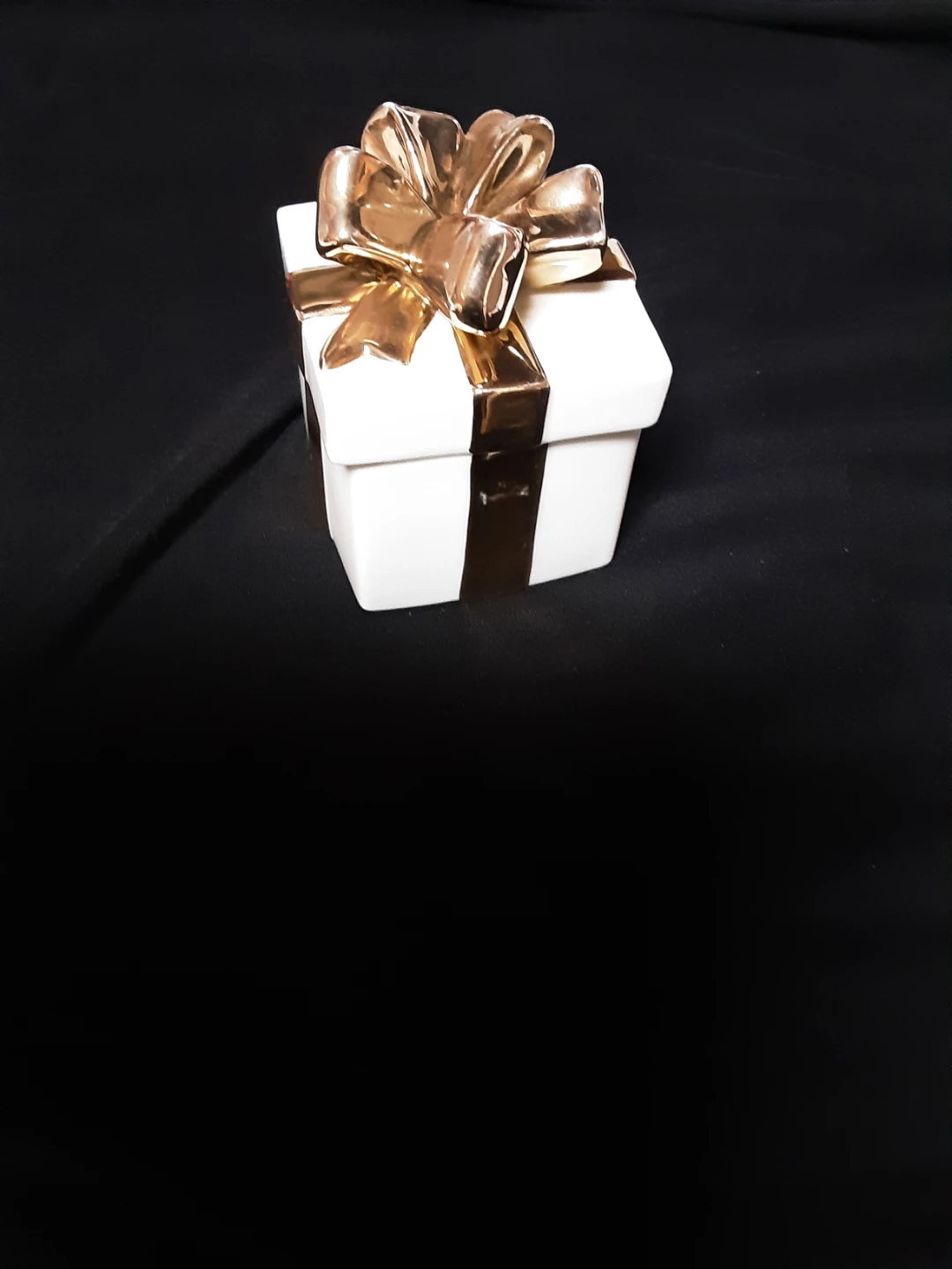 Mikasa Fine Porcelain Holiday Elegance Box