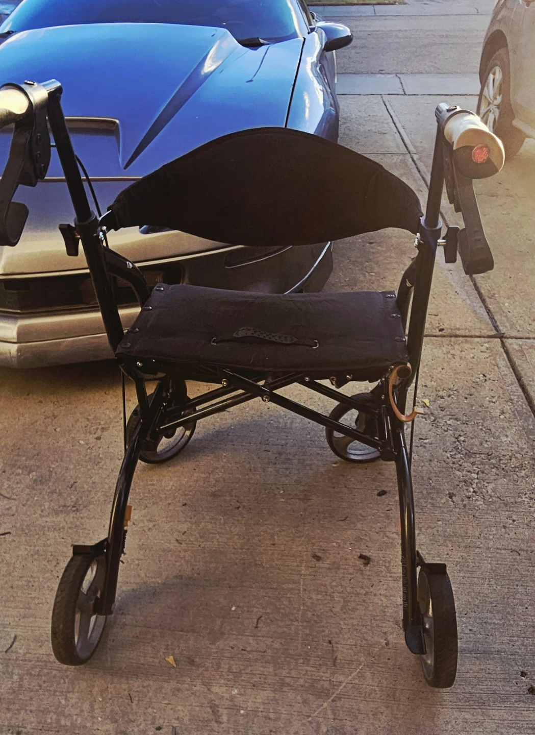 Excursion XWD Airgo Mobility Walker - photo 3