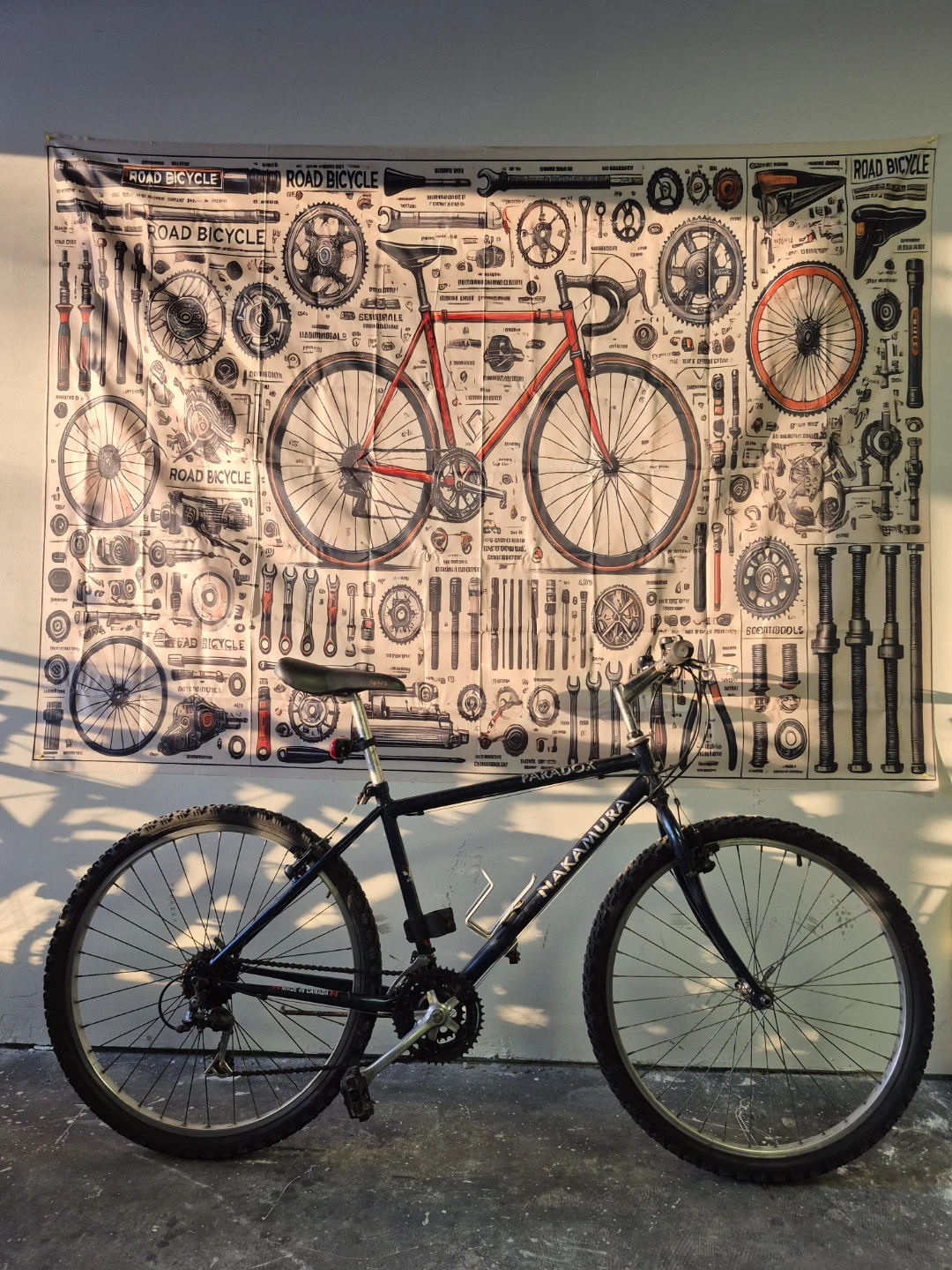 Nakamura Paradox Bicycle
