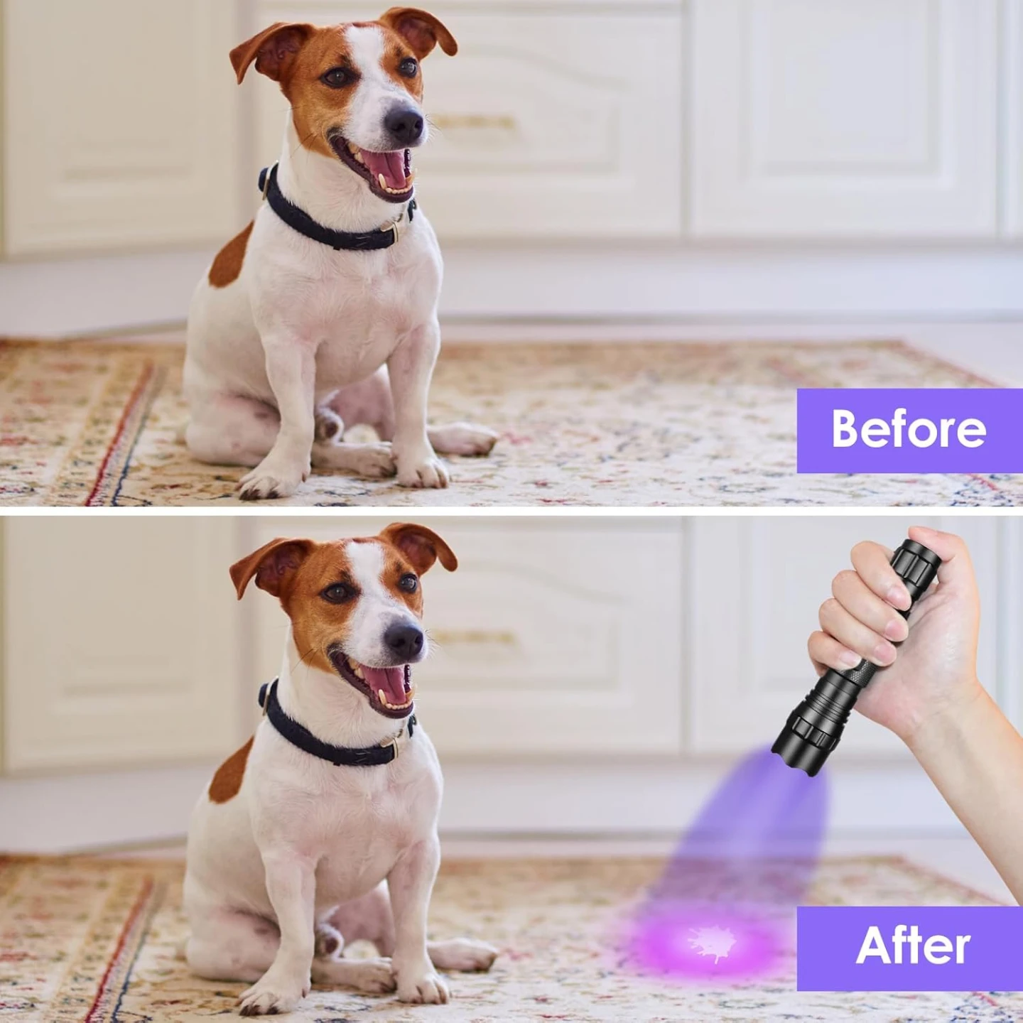 Home Safety 501B 395nm UV Flashlight - photo 4