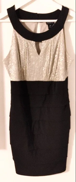 En Focus Petite Black/Silver Dress - Size 14P
