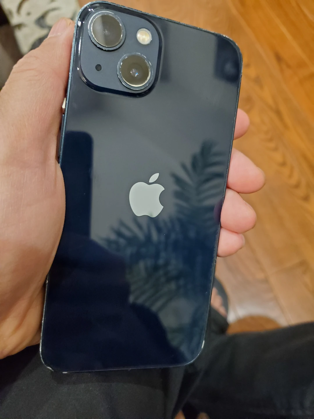 Apple iPhone 13 - Blue