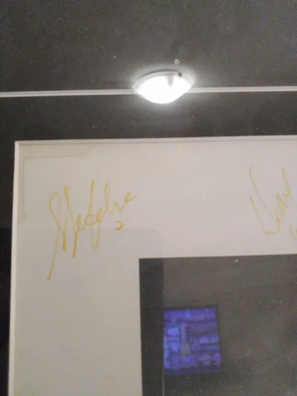 Toronto Maple Leafs Framed Picture image indicator(9)