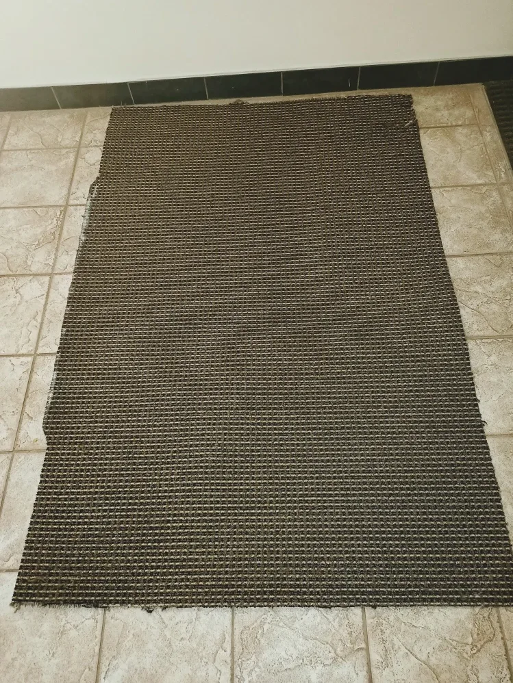 New~Carpet Leftover 47x72inch #Cleanout