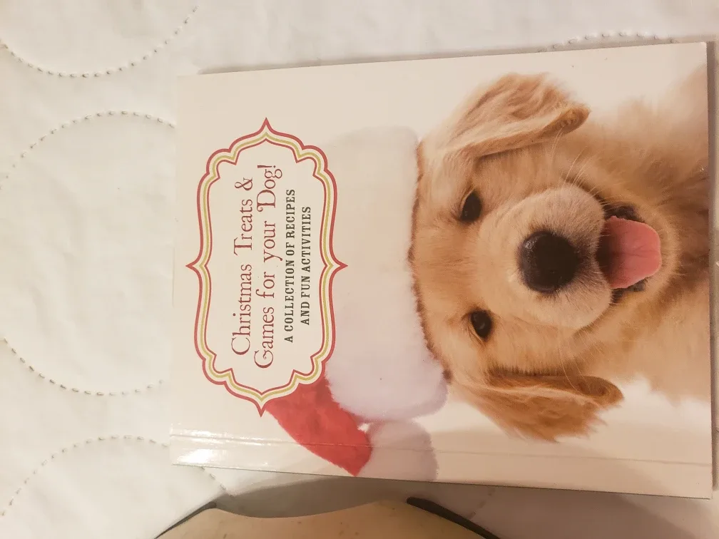 BooBowl Eco-Friendly Pet Bowl image indicator(4)