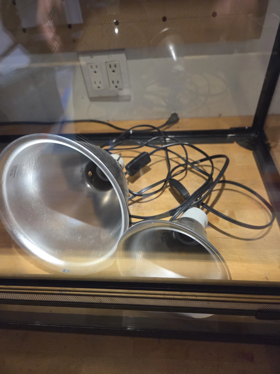 64 gallon terrarium with Thrive Lights - photo 2