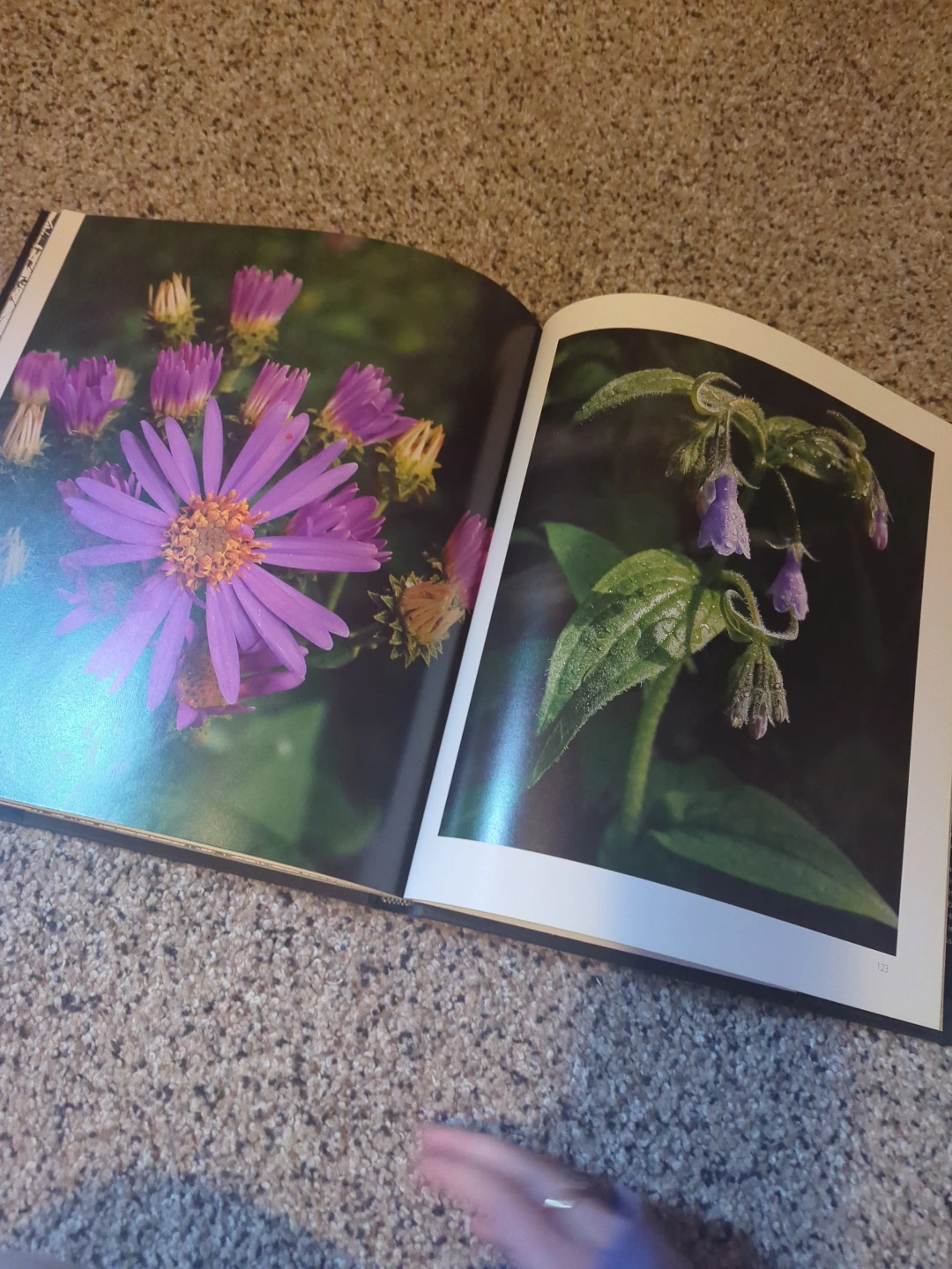 "The Peace" Photography Book by Donald A. Pettit - photo 3