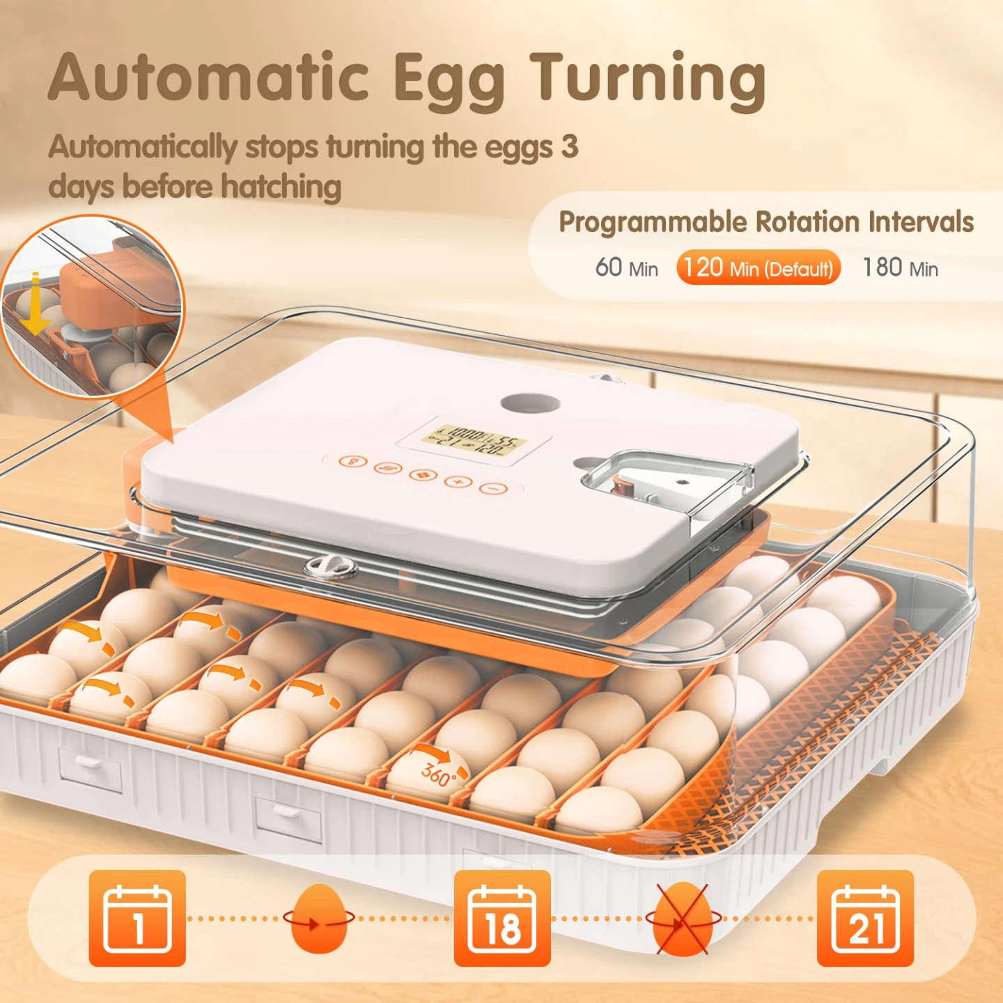 Large Egg Incubator for 56 Eggs - photo 4