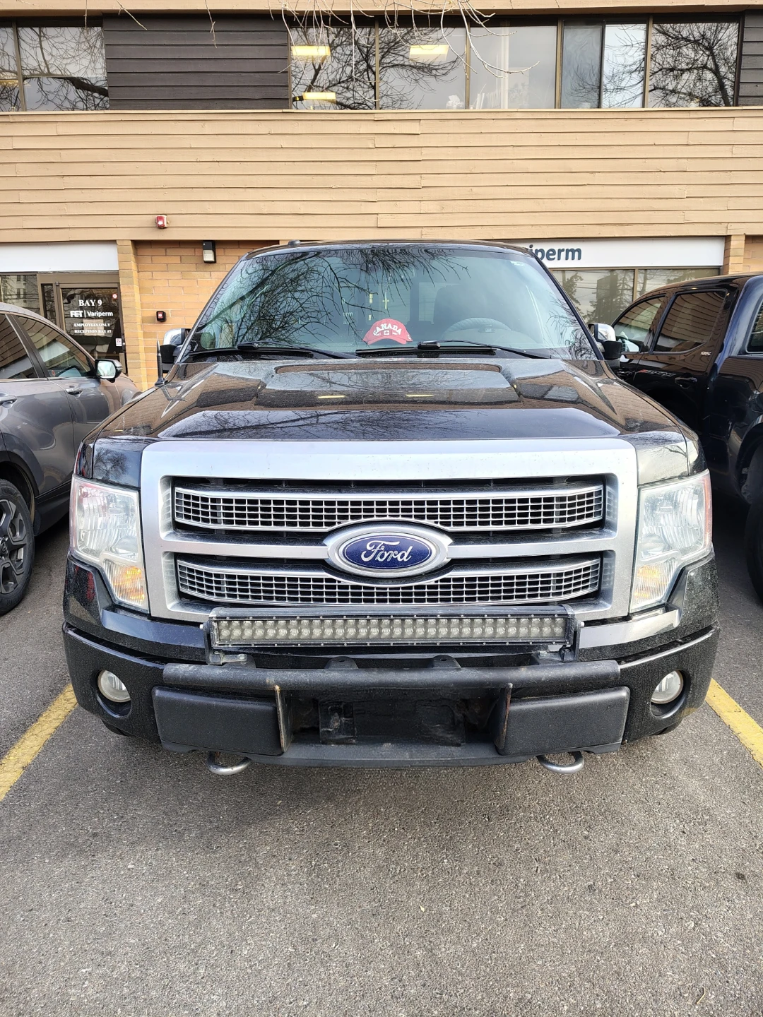 2010 Ford F-150 "Platinum"