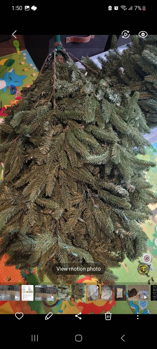 7.5ft Artificial Christmas Tree image indicator(3)