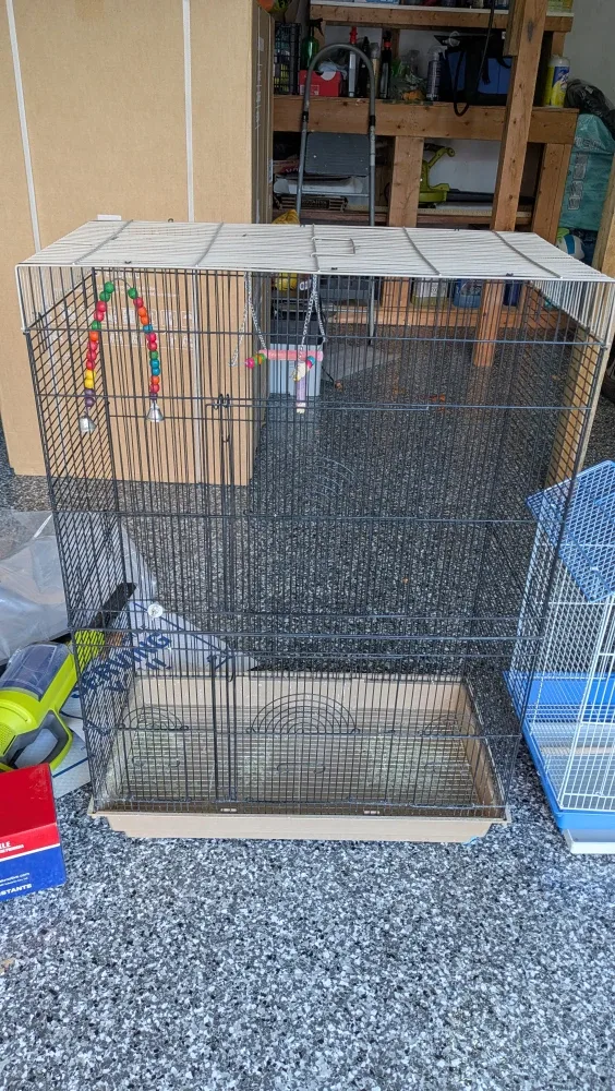 Bird Cages - Two Sizes Available image indicator(3)