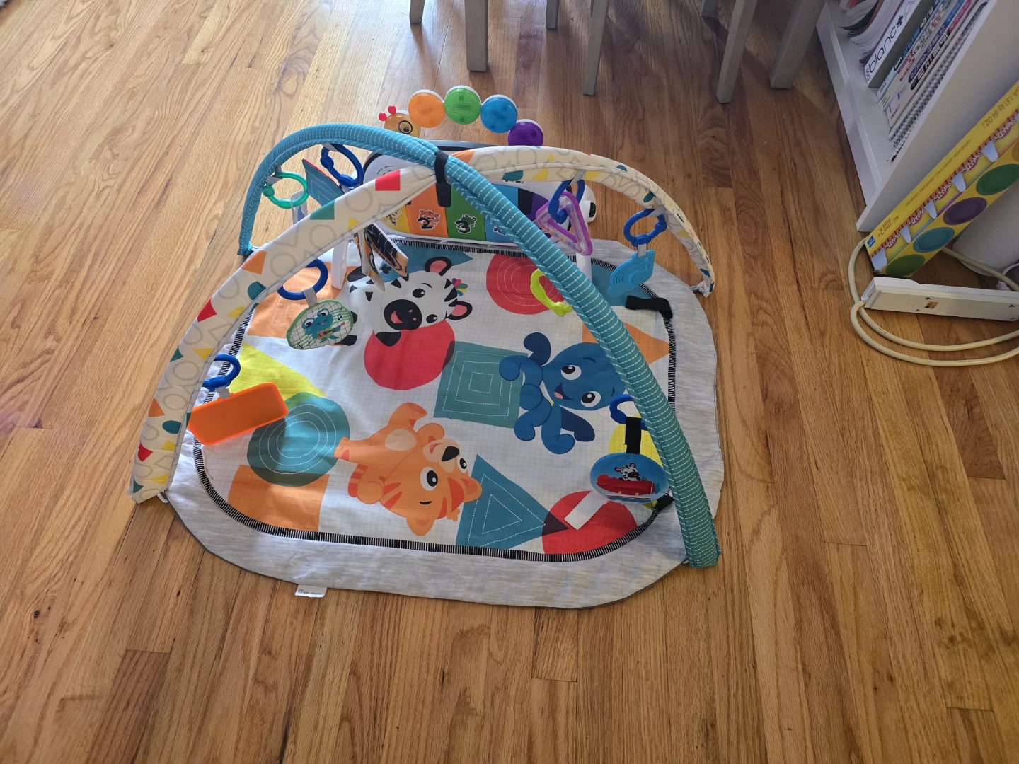 Baby Einstein Activity Gym
