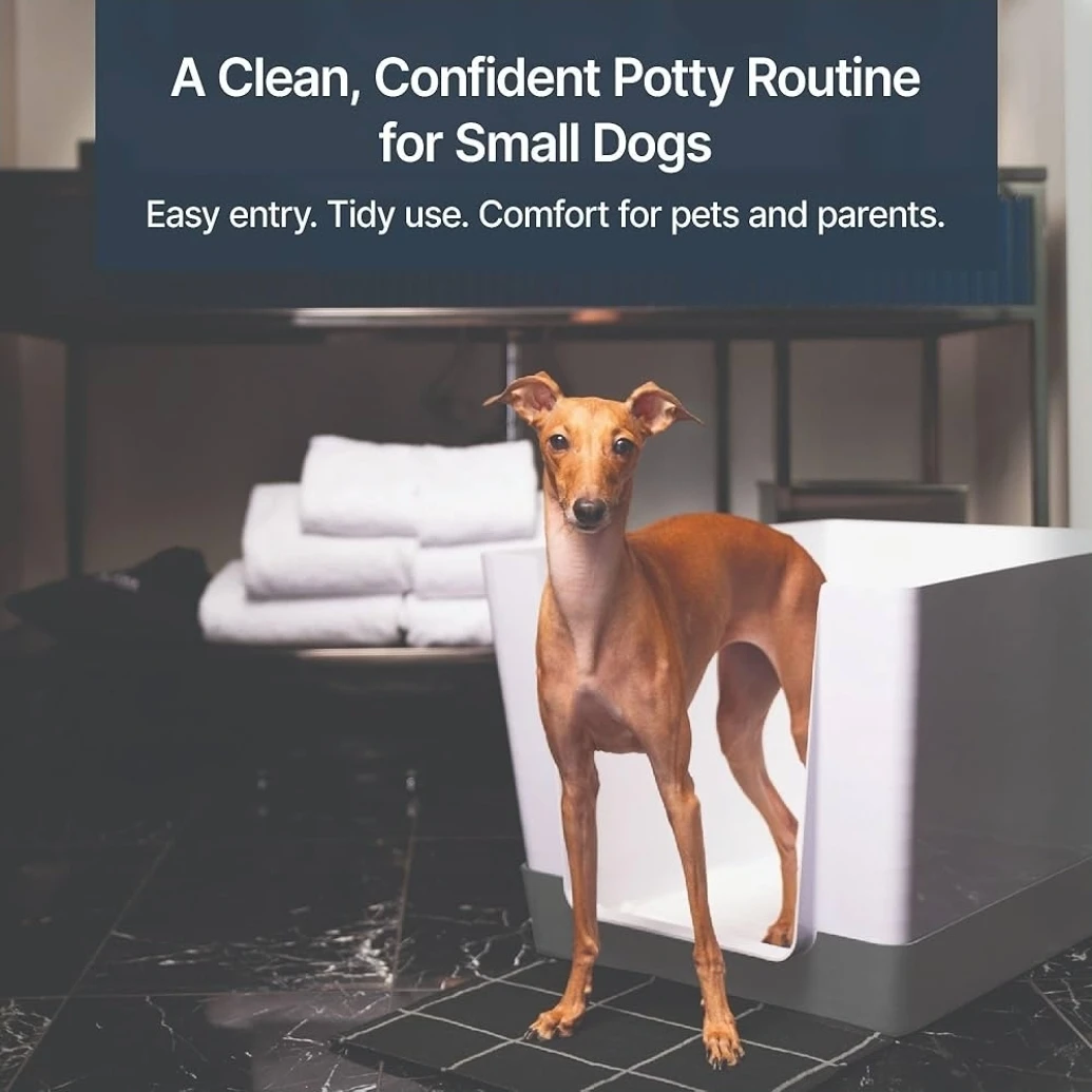Modern Dog Potty Regular Size - Up to 20 lbs - photo 3