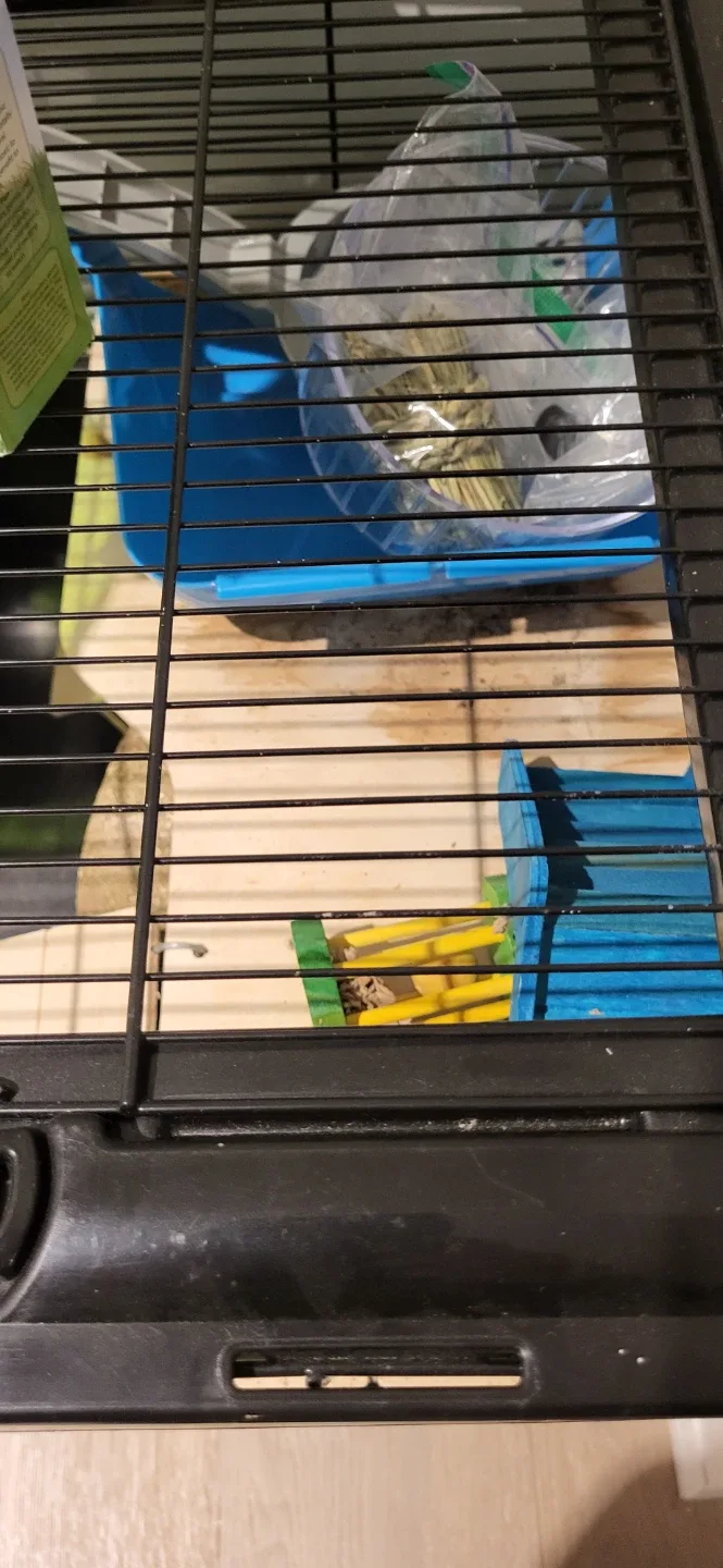 Hamster Cage with Accessories image indicator(4)