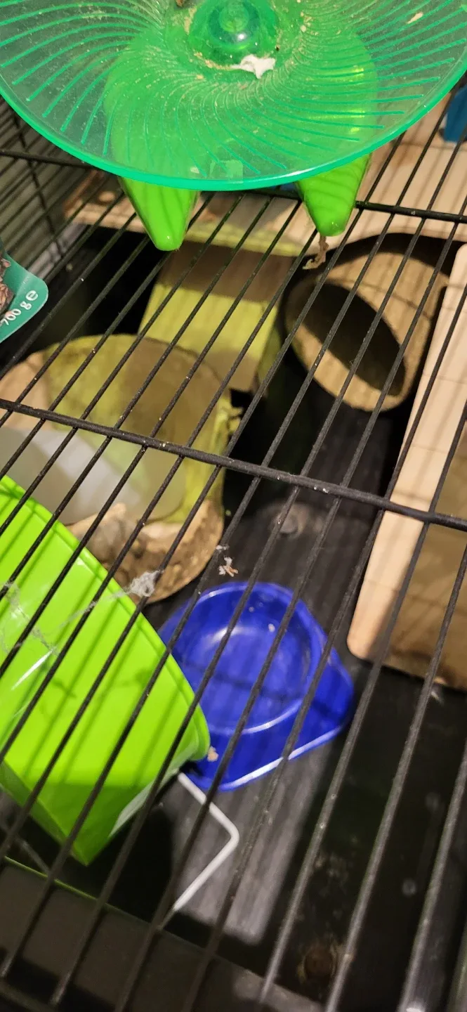 Hamster Cage with Accessories image indicator(5)