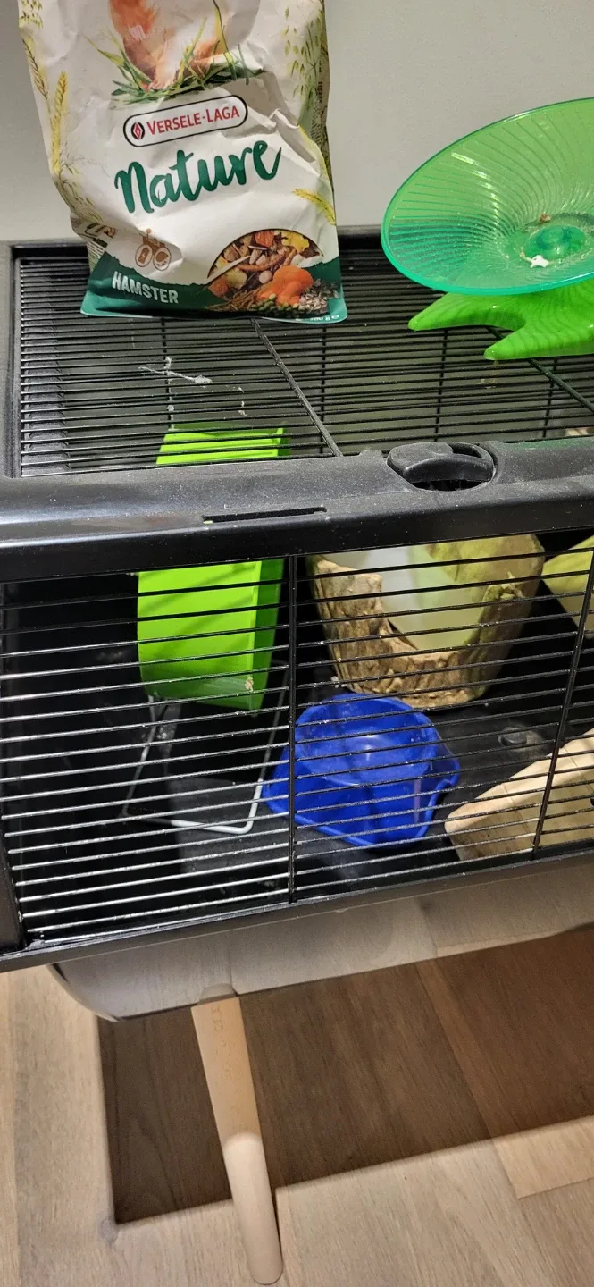 Hamster Cage with Accessories image indicator(2)